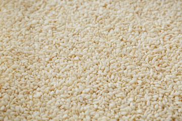 White sesame seeds background. Useful seeds for cooking