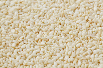 White sesame seeds background. Useful seeds for cooking