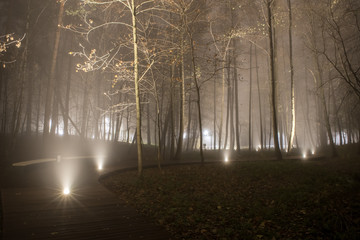 Night fog on Pekhork River Embankment