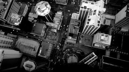 Aerial of Auckland in Black and White