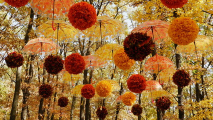 Fall .Umbrellas with leaves hanging on a branches in an autumn forest. Autumn season.