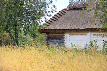 Old white house with straw roof with yellow grass on front and blurred summer background