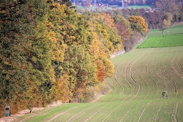 An Image of a landscapes