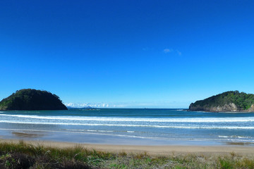 Fototapeta na wymiar Beach in New Zealand