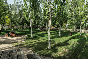 park with trees and benches along riverbank