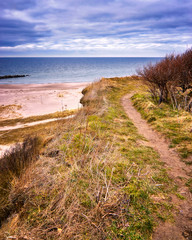 Cliff on the Baltic Sea between Ahrenshoop and Wustrow, Mecklenburg-Vorpommern.