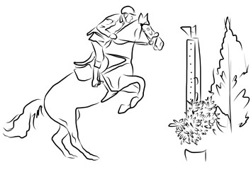 horse jumping obstacles during equestrian