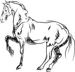 Rider with horse jump over the hurdle