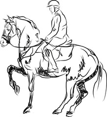 horse jumping obstacles during equestrian