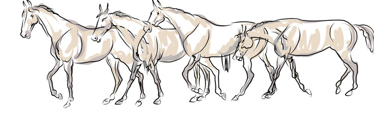 Rider with horse jump over the hurdle