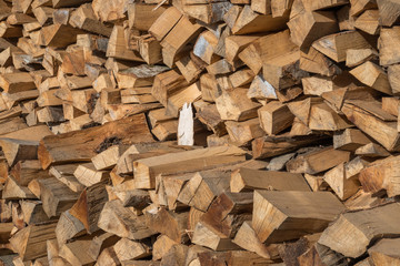 Preparation of firewood for the winter. firewood background, Stacks of firewood in the forest. Pile of firewood