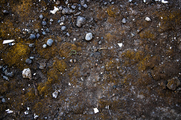 Planet Terrain Surface