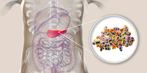 Human pancreas and close-up view of insulin molecule