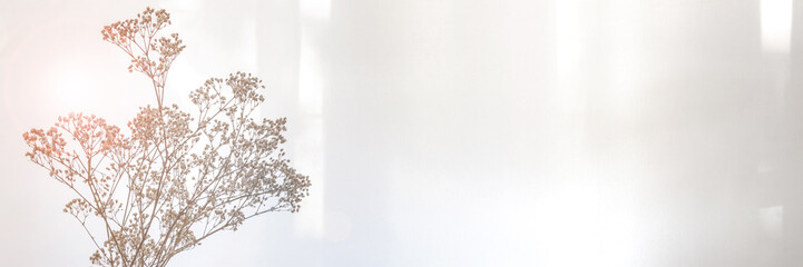 Panoramic photo of dried small flowers illuminated by the sun. Copy space