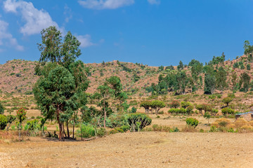 Fototapeta na wymiar Äthiopien