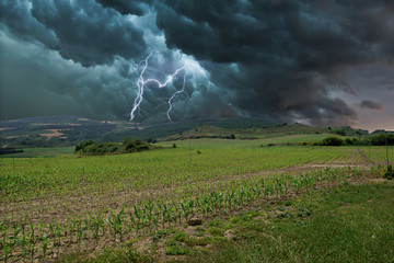 Electric storm with rays in the field