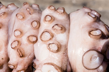 Naklejka premium Pulpo