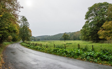Flock of Sheep in England 