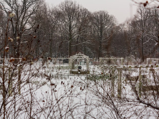 Parco con neve