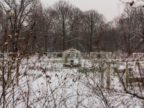 Parco con neve
