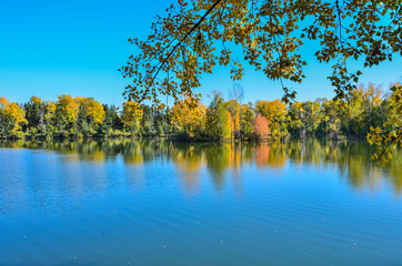 Colorful autumn landscape on the lake - beauty of autumnal nature