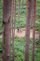 Mountain bike on a trail in the forest pine trees in foreground