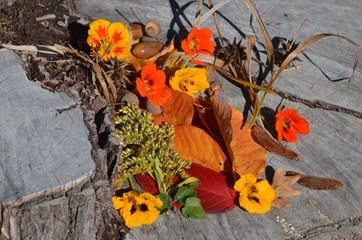 Blütendekoration auf einem alten Baumstumpf herbstlich