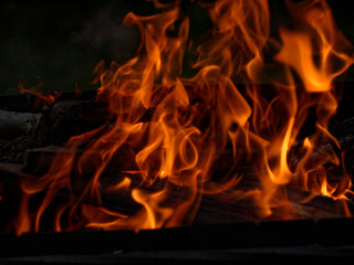 Fototapeta premium fire burns on wood in the grill