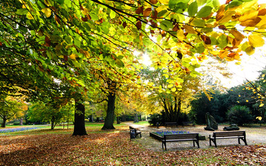 Ruhe am See: Indian Summer, Sch&ouml;nheit des Herbstes am Abend, Sp&auml;tsommer, Indian Summer, wundervolle Farben im Wald, weiches, stimmungsvolles Licht :)