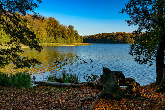 Einer der saubersten Seen Brandenburgs: der Liepnitzsee am 66-Seen-Wanderweg bei Wandlitz