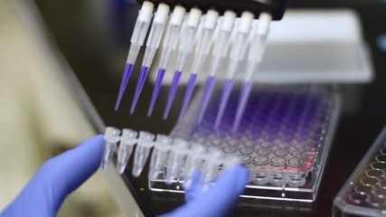 a scientist using a pipette to put chemicals in test tubes