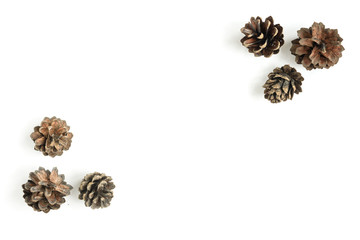 Pine cones isolated on a white background
