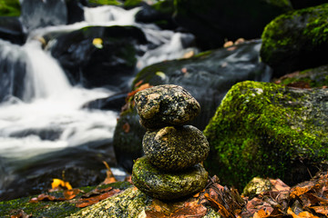 stream and stones in forest