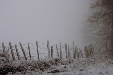 barbelés sous la neige dans le brouillard
