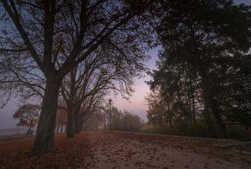 Fototapeta na wymiar Herbstmorgen am Unteruckersee