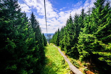 Mountain lift in the summer with pine trees