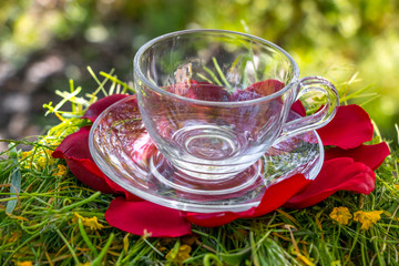 Transparent empty cup of tea on the red leaves