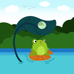 Frog in the river