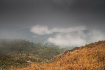 misty in mountain at north Thailand