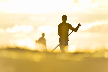 Fototapeta na wymiar silhouette of stand up paddle board player in the sunset (actual short)