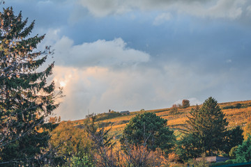 Autumnal view of wine producing area in Vienna