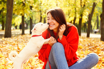Attractive young woman with long brunette hair, wearing oversized red sweater & mom jeans walking in park her Jack Russell Terrier puppy, yellow leaves on the ground. Background, copy space, close up.
