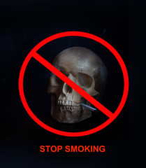 Human skull with a cigarette in teeth on dark background. Stop smoking concept. Nicotine addiction...