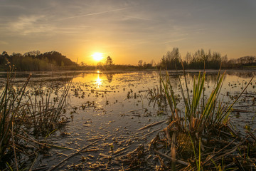 Obraz premium Sunset at a pond on a golf course. Concept: vacation and travel
