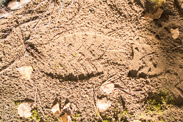 footprint on the sand