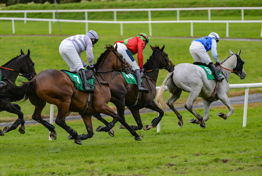 Galloping race horses