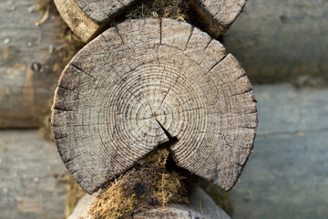 House of wooden  timber. photographed close and visible rings of the year