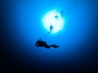 Naklejka na ściany i meble Deep diving