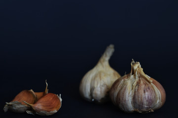 garlic in the dark background