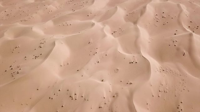 Al Qudra desert in Dubai